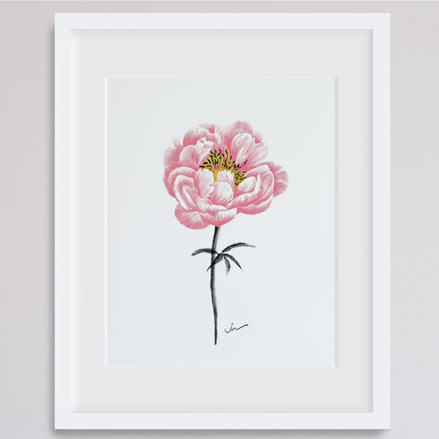PINK PEONY POSTER